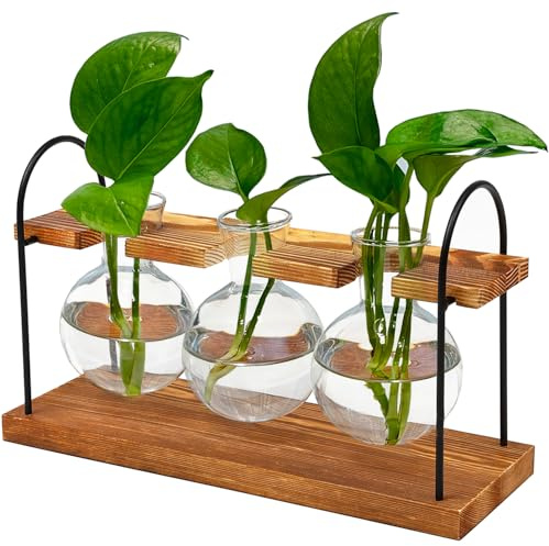 Pflanzen-Terrarium mit Holzständer, das ultimative Geschenk für Pflanzenliebhaber, Anzuchtstation mit Retro-Glaszwiebeln, schafft eine atemberaubende Tischdekoration mit hydroponischem Grün in jedem