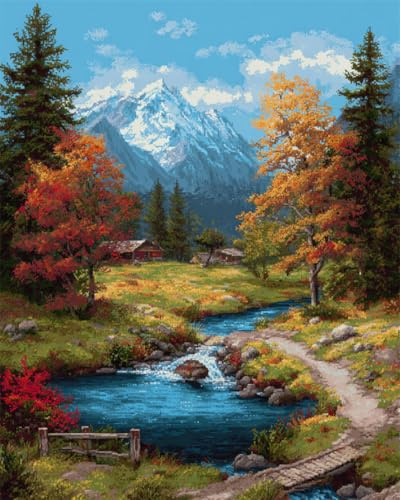 N.LANSHAN DIY Latch Hook Kit Large Rug Lodge Scenery DIY Latch Hook Rug Making Kits for Beginners Unfinished Crocheting Tapestry Embroidery Carpet 55x75cm