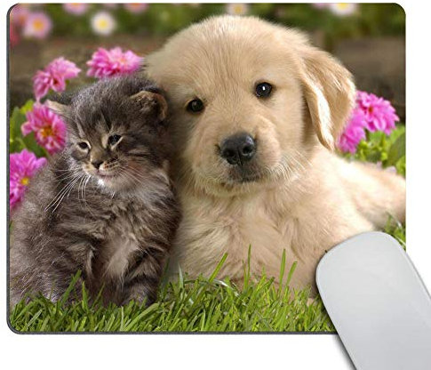 Wasach Mouse Pad Animals Cat Kitten Dog Golden Retriever Puppy Mousepad Rubber Gaming Mat 9.5 X 7.9 Inch (240mmX200mmX3mm)