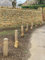 Solid Hardwood Oak Bollards - Oak Post Pyramid Top Fence Gate Post, solid handcrafted Green Oak Bollards Pyramid Top (1, 10cm wide x 10cm deep x 80cm Height)