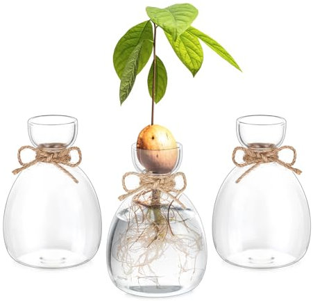 Hewory Acorn Vase Propagation Station: Plant Terrarium Hydroponics Glass Vase Indoor Propagators for Plants - Avocado Vase Hyacinth Bulb Vase Small Vases for Table Decoration Gifts for Plant Lovers