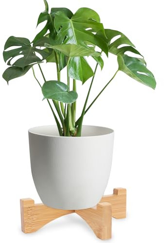 Lollanda Short Plant Stand Wooden, Small Flower Pot Stand Wood, Flower Pot Holders Plant Stand Planter (15.2)