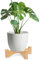 Lollanda Short Plant Stand Wooden, Small Flower Pot Stand Wood, Flower Pot Holders Plant Stand Planter (15.2CM)