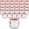 Devitre Lot de 30 petits pots à confiture avec couvercle de 210 ml et étiquettes