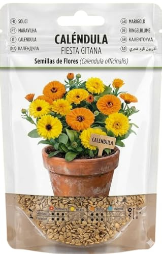 Caléndula para Primavera y Verano – Semillas de Caléndula Ideales para Jardinería en Casa DECOALIVE