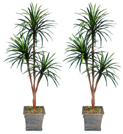 TWO 6' Yucca Tripled Artificial Trees Silk Plants, with No Pot,