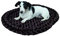 Kerbl Pet Kuschelbett, 54x45x6cm braun