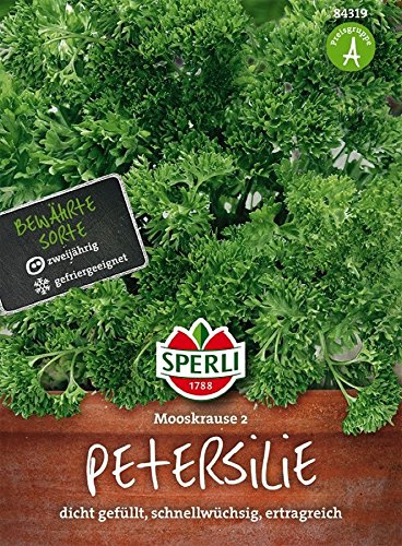 Petersilie, Mooskrause 2