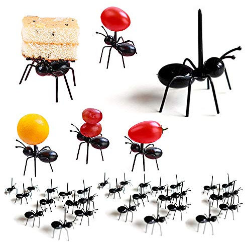 Ant Obst Gabel Set, Mehrere Verwendung Snack Kuchen Dessert Küche Gabeln Essen Pick für Bar Party (36 PCS)