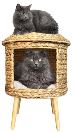 Le Condo Chic Cabana pour Chat Tressée à la Main Panier Artisanal en Jacinthe d’Eau Cabane élevée sur Pieds en Bois Lit en Fibre Naturelle pour Petit Chien Design Original avec Coussin 40x36x57 cm