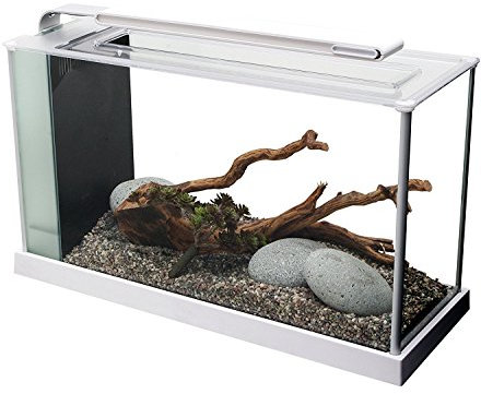 Fluval Spec 5 Nano Aquarium, mit 19L Fassungsvermoegen, in weiss