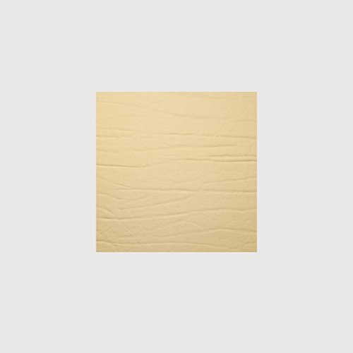 daff Untersetzer Dumbo - 10 x 10 Gold
