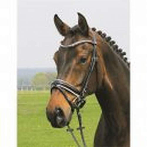 Hans Melzer Horse Equipment Trense Hagen, schwarz/schwarz unterlegt, Warmblut