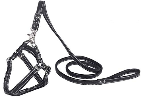 Hundegeschirr Kleine Hunde Leder Verstellbar feiling Hundegeschirr Welpen Brustgeschirr Haustier Ausbruchsicher Katzengeschirr Ledergeschirr Weichem mit 1.3m Hundeleine Leder (Schwarz)