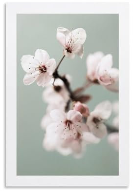 MDCRADI Poster de fleur de cerisier - Décoration murale moderne et esthétique - Cadeau pour un ami - Sans cadre - 20 x 30 cm