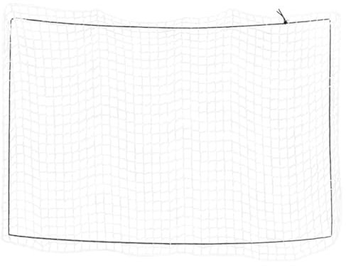 vidaXL Anhängernetz, Hängernetz mit Gummiseil, Abdecknetz für Anhänger, Transportnetz Ladungssicherungsnetz Gepäcknetz, Weiß 3,5x2,5m PP
