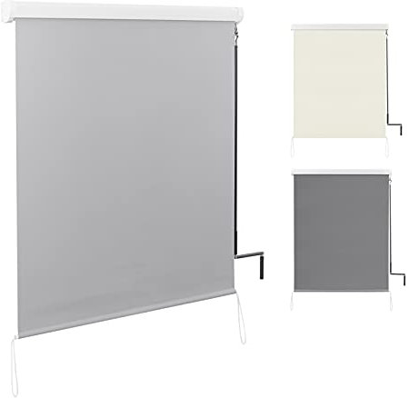 WOLTU Store Vertical de Balcon Store Enrouleur Occultant Auvent Vertical Paresoleil avec Manivelle et Cassette d'Auvent Pare-Soleil Pare-Vue Protection du Vent pour Balcon, Terrasse, 100x140 cm, Gris