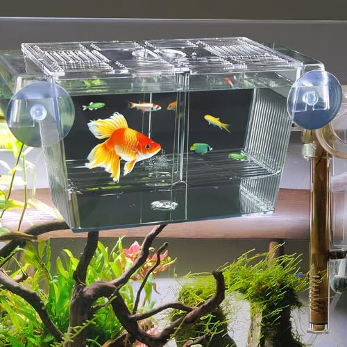 WEFHEF Acrylic Zuchtbecken Fish Aufzuchtbecken Aquarium Zuchtbox Aufzuchtbox Aufzuchtbehälter Zuchtkasten mit Saugnäpfen Aquarium Laichkasten Ablaichkasten Ableichbecken Brutkasten Fischbrutkasten