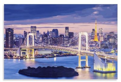 PLMoney Tokyo Japan City Night Vintage Wanddekoration Poster Haus Ölgemälde Boho Rustikal Wandposter für Schlafzimmer Wohnzimmer Dekor 20 x 30 Zoll (50 x 75 cm)