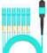 AMPCOM MPO zu LC Breakout-Kabel 50/125μm Multimode OM3-300 (12 Fasern, MPO zu LC, Typ B, LSZH/Riser, UPC, Aqua) 1m