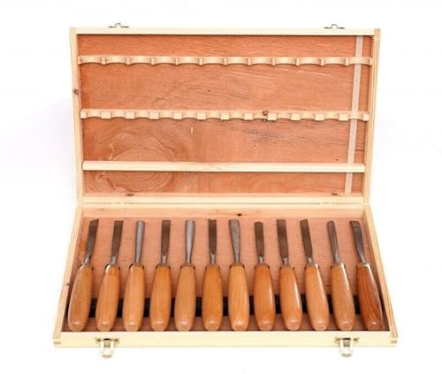 SGORBIE PROFESSIONALI PER INTAGLIO SCALPELLI UTENSILI PER LEGNO SET 12 PZ