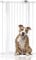 Bettacare Child and Pet Gate Narrow, 68.5cm - 75cm, White, Extra Tall Gate 104cm in Height, Narrow Pressure Fit Stair Gate, Baby Gate and suitable for Dog Gate or Pet Barrier, Easy Installation