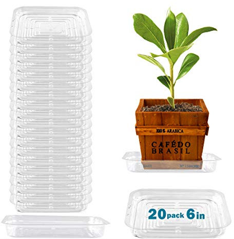 UltraOutlet Juego de 20 platillos cuadrados de plástico de 15,2 cm para plantas, cubremacetas, bandeja de drenaje para plantas, bandeja de drenaje transparente para atrapar el agua, a granel