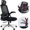 Realm of Thrones CAPTAIN Ergonomic Office Chair for Home, Heavy Duty Steel Base, Versatile Flip-up Armrests, Adjustable Lumbar Support, Mesh Back Comfort Cushion Seat for Computer Desk/Gaming (Black)