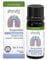 Physalis Synergia Ae Respiration 100 ml