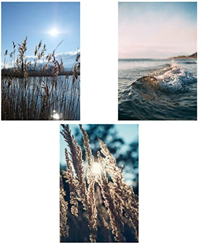 SWECOMZE Moderne Poster Set - 3er Bilder Wohnzimmer Deko Schlafzimmer -Nature Pampas Gras blau Meer Wandbilder, ohne Rahmen