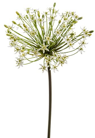 künstliche Allium mit XXL Blüte weiß H. 90cm Emerald Kunstblumen