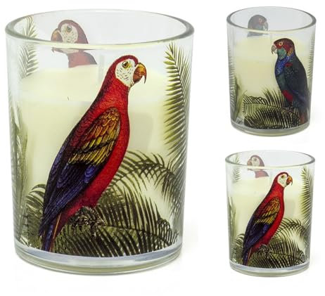 Carousel Home Parrot Palm Boxed Candle | Glass Candle Holder With Scented Candle | White Wax Fragranced Candle in Glass Jar Aromatherapy Candle Gift - Fragrance/Design Varies One Supplied