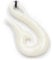 Drachensilber Maori Anhänger Schmuck Kettenanhänger Maorimotiv, Knochenschmuck, Kette handgearbeitet, inkl. Textilband, 4,5cm lang, 2,5cm breit
