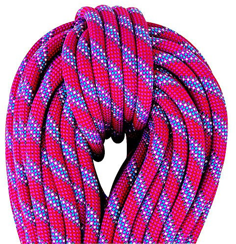 Beal Flyer 10.2mm 60m Golden Dry Lila/Violett - Innovatives vielseitiges Kletterseil, 60m, Größe 60 m - Farbe Fuchsia