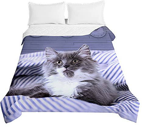 Chickwin1 Tagesdecke Bettüberwurf Steppdecke, 3D Tier Katze Drucken Tagesdecken mit Präge Wohndecke aus Mikrofaser Gesteppt Bettdecke für Einzelbett Doppelbett (Grün,150x200cm)