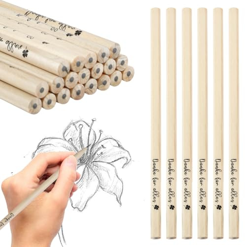 20 Stk Bleistifte Dankeschön Geschenke, Holzbleistifte Set mit Spruch Danke | Danke Geschenk Lehrer, Kollegen Abschiedsgeschenk Klein, Bleistifte HB Danke für Alles Erzieherin Kita Mitarbeiter