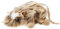 Dog & Co Country Rat Dog Toy, Small, Grey