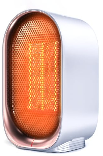 Space Heater, Portable Small Heater for Indoor Use, Quiet & Compact