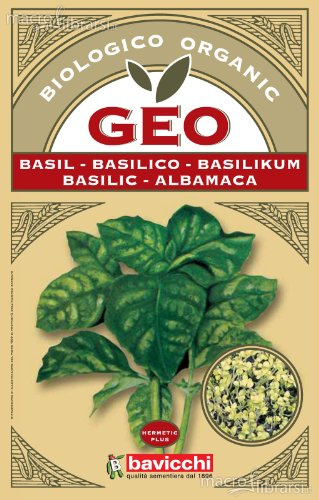 Seeds germinado Basil, Bavicchi Geo, 5 g