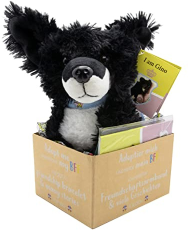 Joy Toy Gino Adopt me Plüsch 18 cm mit Armband für den neuen BFF und illustriertem Vorlesebuch in Geschenkkarton 12x15x25 cm