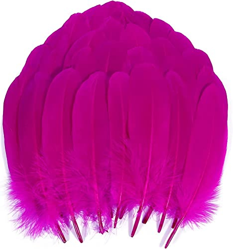 Plumas Manualidades Decoración de Colores para Fiesta, Plumas Carnaval Decorativas India para Manualidades, 120pcs (Talla única, FUCSIA)