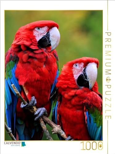CALVENDO Puzzle Grünflügelara Pärchen | 1000 Teile Lege-Größe 64 x 48 cm Foto-Puzzle für glückliche Stunden