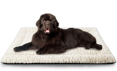 Aspand Tapis Chien Court en Peluche, pour Chiens de Grande Taille et Moyenne Matelas Chien, 109 x 73 cm, Facile à Nettoyer, Chaud et Confortable, Kaki