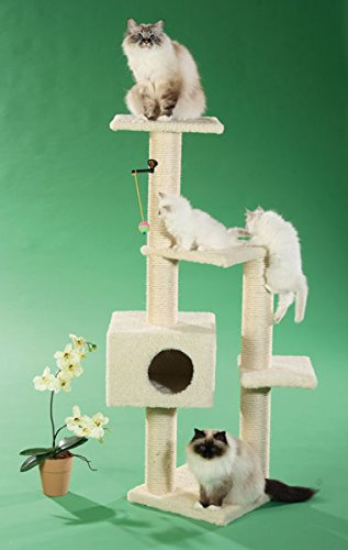 CLEVERCAT Kratzbaum Madeira mit vielen Aussichtspodest zum Ausschauhalten und Einer Wohnhöhle zum Verstecken für Ihren Liebling. Made in Germany 9003