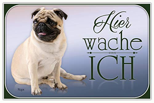 Blechschild 20x30 Hier wache ich MOPS Hund Haus Tier Warnschild Garten