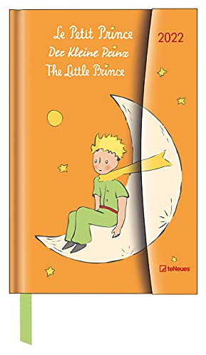 Der Kleine Prinz 2022 - Diary - Buchkalender - Taschenkalender - 10x15: Magneto Diary