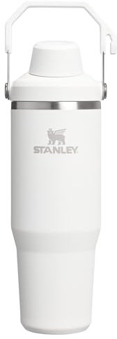 STANLEY IceFlow 2.0 Fast Flow Tumbler with Handle 30 oz | Twist On Angled Spout Lid | Leakproof Water Bottle | Insulated Stainless Steel | BPA-Free | Frost