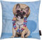 MAGMA Funny Kissen lustige Tiermotive ca. 40x40cm (Hund/Bully)