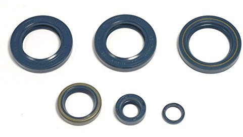 Athena P400270400051 Wellendichtringsatz Motor