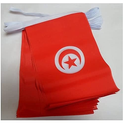 AZ FLAG - Guirlande Drapeau Tunisie - 6 Mètres Avec 20 Fanions Tunisien De 21x14 cm - Petits Drapeaux 100% Polyester - 60g